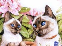 Cross stitch pattern: #236380