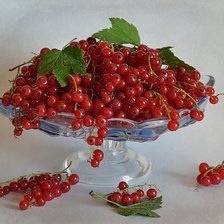 Cross stitch pattern: #236941