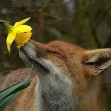 Cross stitch pattern: #236946