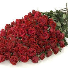 Cross stitch pattern: #237728