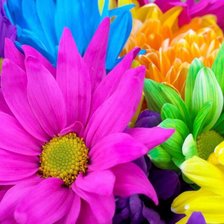 Cross stitch pattern: #237767