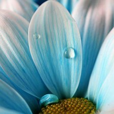Cross stitch pattern: #237769