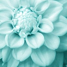 Cross stitch pattern: #237774