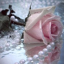 Cross stitch pattern: #238158