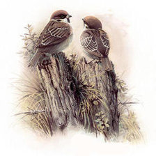 Cross stitch pattern: #238180