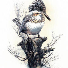 Cross stitch pattern: #238198