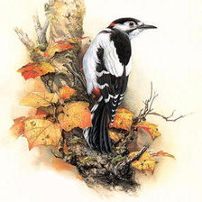 Cross stitch pattern: #238200