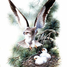 Cross stitch pattern: #238208