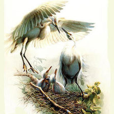 Cross stitch pattern: #238212