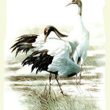 Cross stitch pattern: #238215