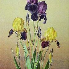 Cross stitch pattern: #238221