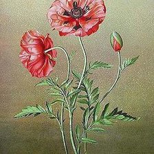 Cross stitch pattern: #238222