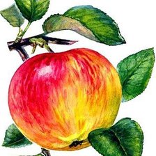 Cross stitch pattern: #238671