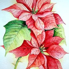 Cross stitch pattern: #238676