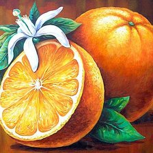 Cross stitch pattern: #238687