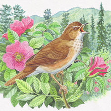 Cross stitch pattern: #239682