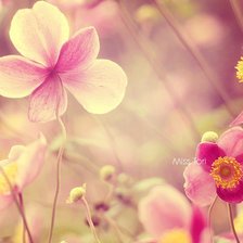 Cross stitch pattern: #239882