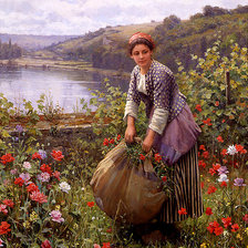 Cross stitch pattern: #241569