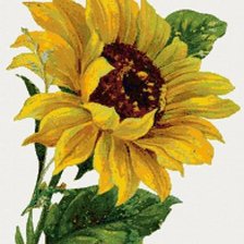 Cross stitch pattern: #241670