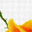 Preview of cross stitch pattern: #242213