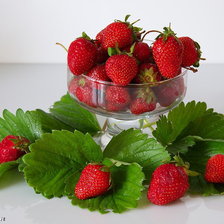 Cross stitch pattern: #242221