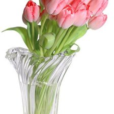 Cross stitch pattern: #242252