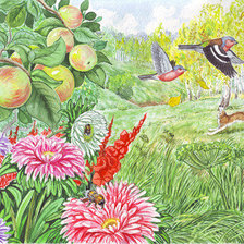 Cross stitch pattern: #242730