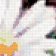 Preview of cross stitch pattern: #243389