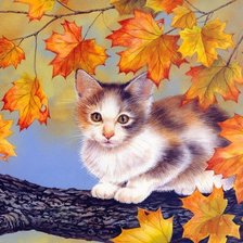 Cross stitch pattern: #243554