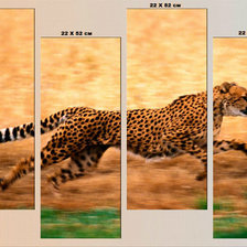 Cross stitch pattern: #243905