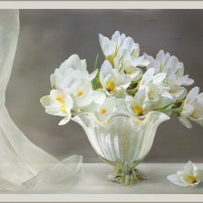 Cross stitch pattern: #243964