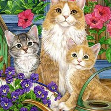 Cross stitch pattern: #244248