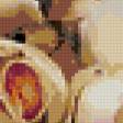 Preview of cross stitch pattern: #244950