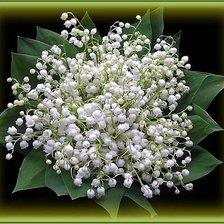 Cross stitch pattern: #244956