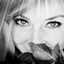 Cross stitch pattern: #245126