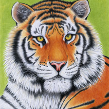 Cross stitch pattern: #245227