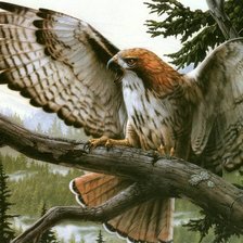 Cross stitch pattern: #245951