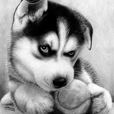Cross stitch pattern: #246003