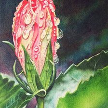 Cross stitch pattern: #246669