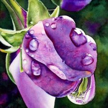 Cross stitch pattern: #246670