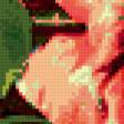 Preview of cross stitch pattern: #248384