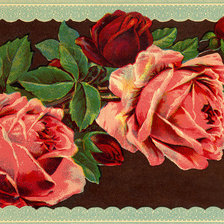 Cross stitch pattern: #248384
