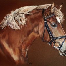 Cross stitch pattern: #248475