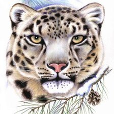 Cross stitch pattern: #248626