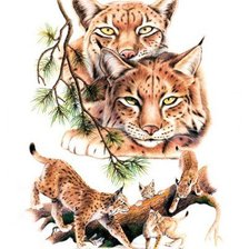 Cross stitch pattern: #248633