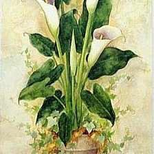 Cross stitch pattern: #248703