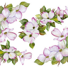 Cross stitch pattern: #248707