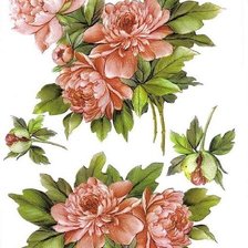 Cross stitch pattern: #248736