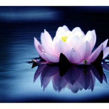Cross stitch pattern: #251878