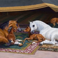 Cross stitch pattern: #252080